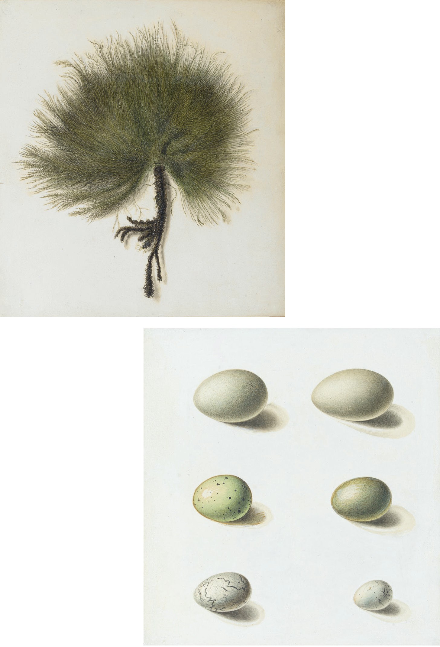 Antoine-Germain Bévalet (Paris 1779-1850)