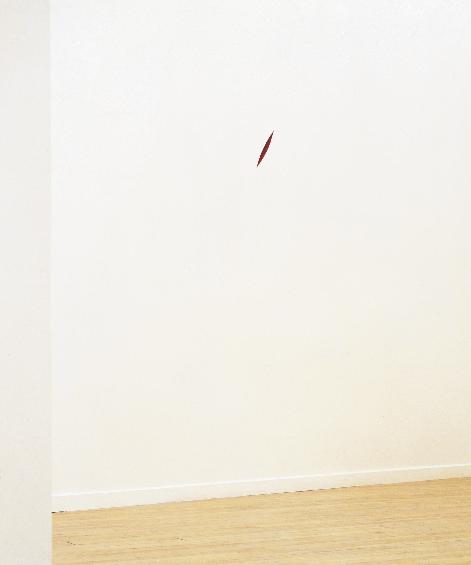 ANISH KAPOOR (NE EN 1954)