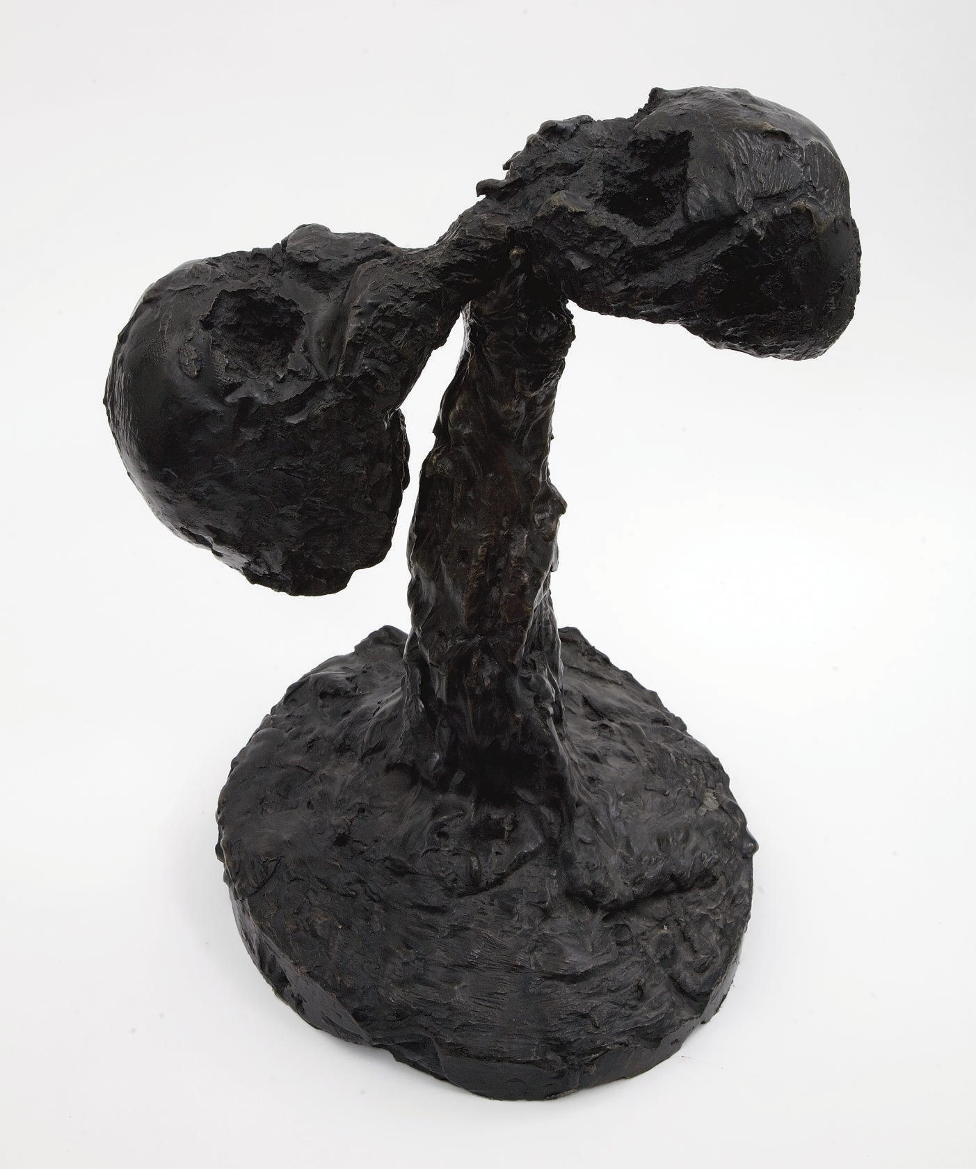 MIQUEL BARCELO (NE EN 1957)