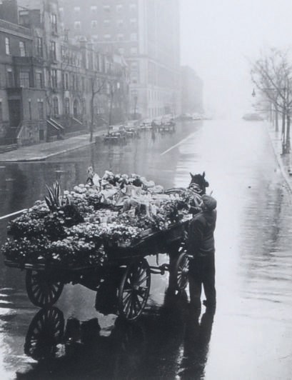 DAN WEINER (1919-1959)