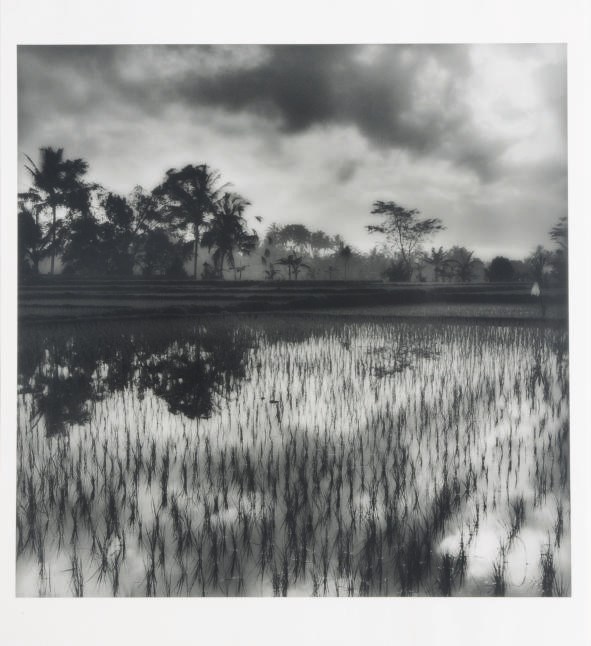 Sally Gall (b. 1956)