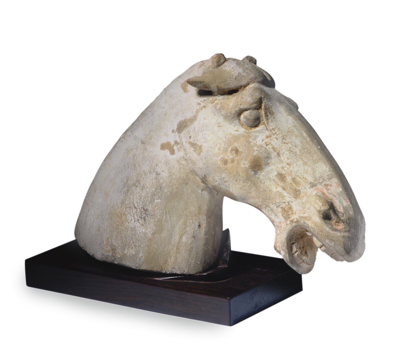 A CHINESE TANG HORSE HEAD ON FITTED WOOD STAND