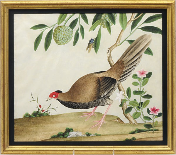 A GROUP OF SIX CHINESE PAINTINGS OF BIRDS,