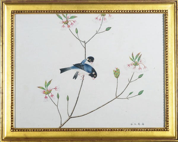 A GROUP OF TWELVE CHINESE PAINTING OF BIRDS AND FLOWERS,