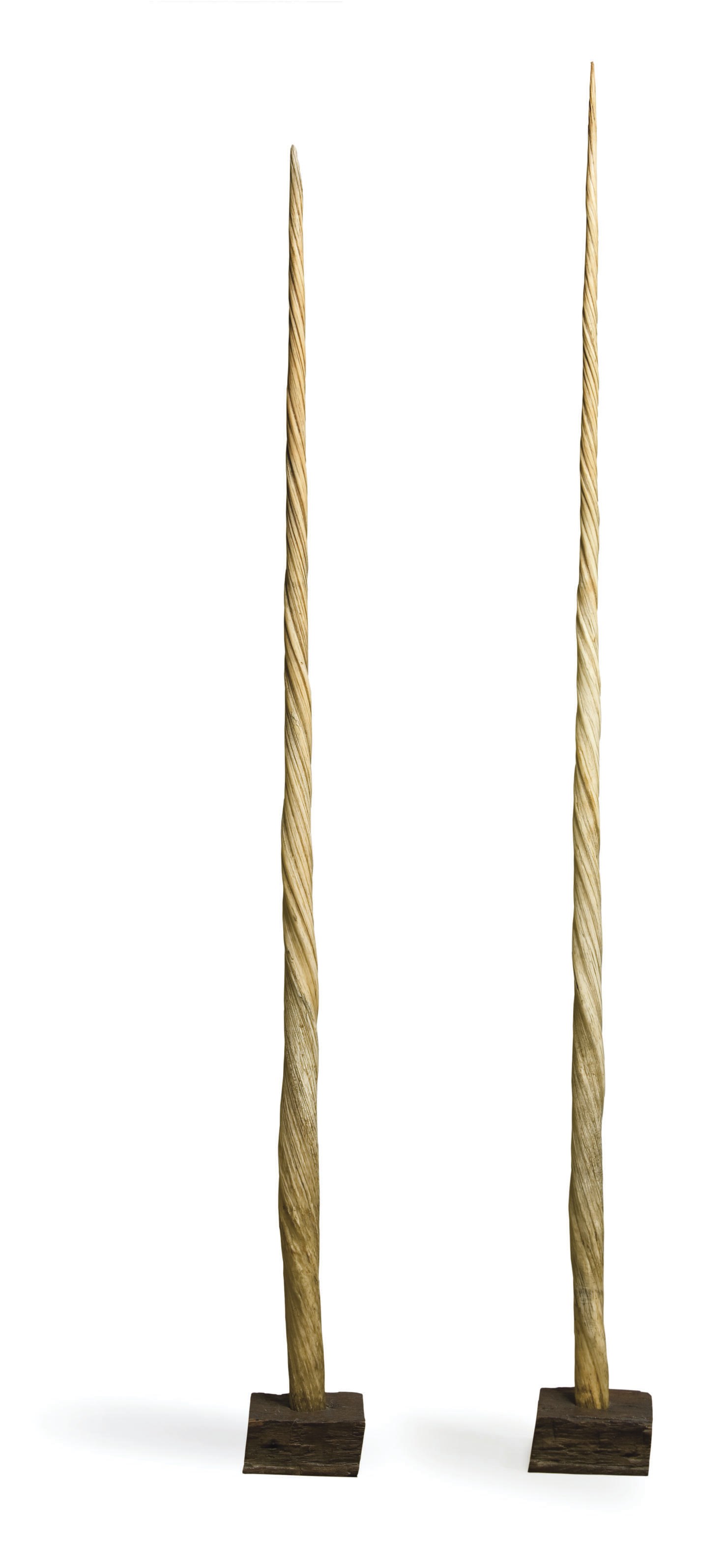 DEUX DENTS DE NARVAL