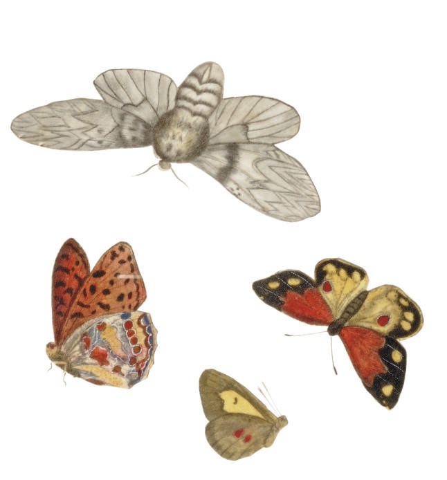 A GROUP OF SEVEN CHINESE RICE PAPER PAINTINGS