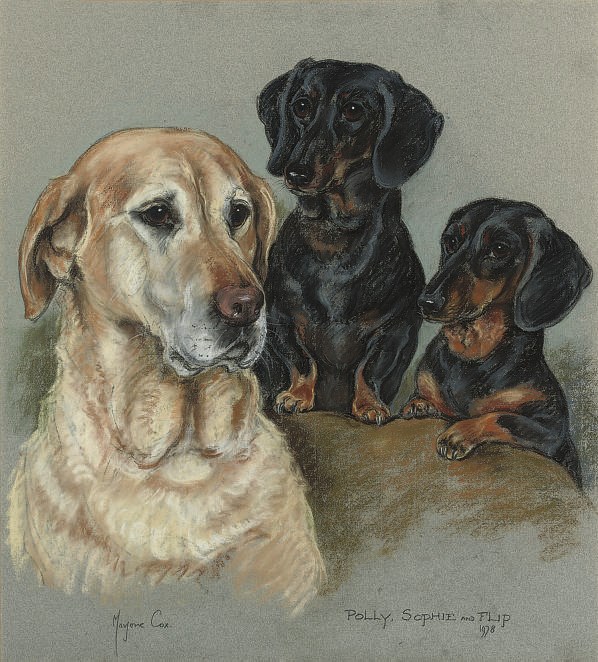 Majorie Cox, 20th Century