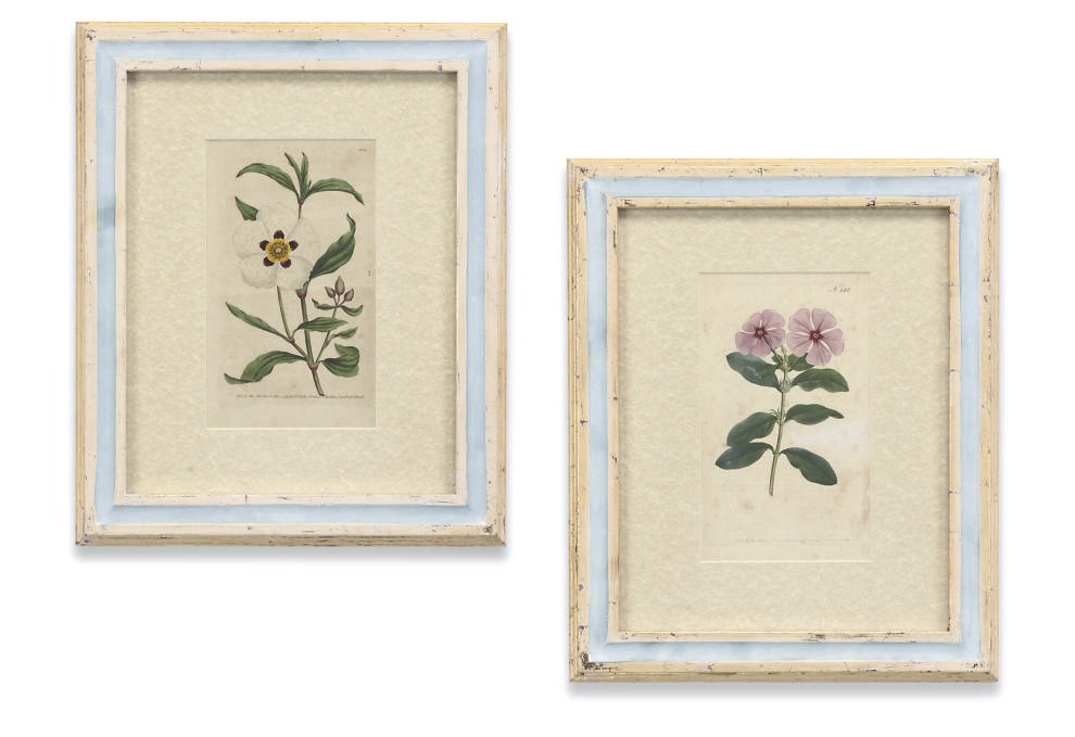TWELVE HAND COLOURED ENGRAVINGS OF BOTANICAL INTEREST