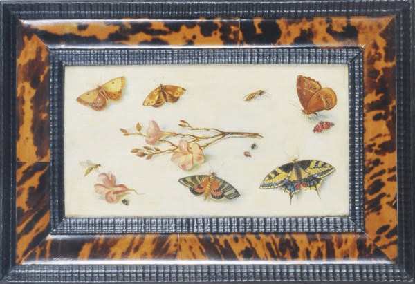 Manner of Jan van Kessel, 20th Century