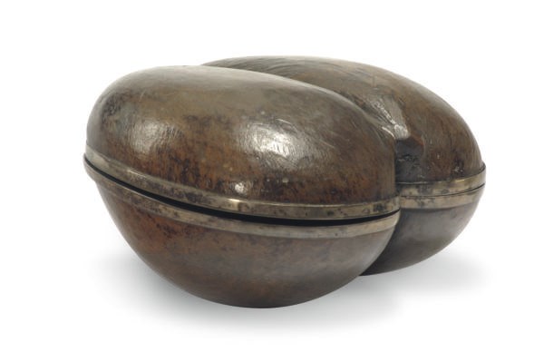 A SILVER-MOUNTED COCO DE MER BOX,