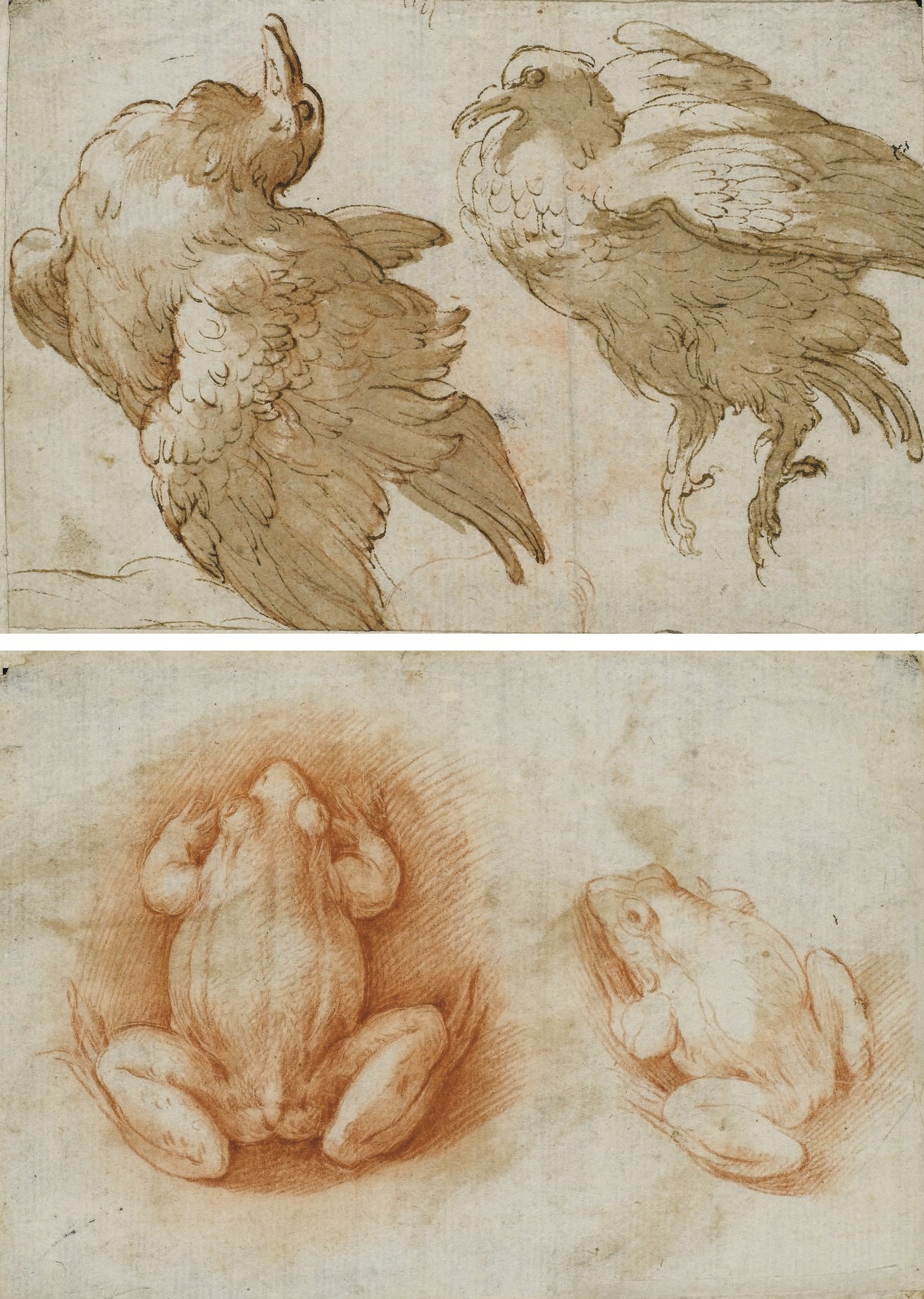GIROLAMO FRANCESCO MAZZOLA, IL PARMIGIANINO (PARMA 1503-1540 CASALMAGGIORE)