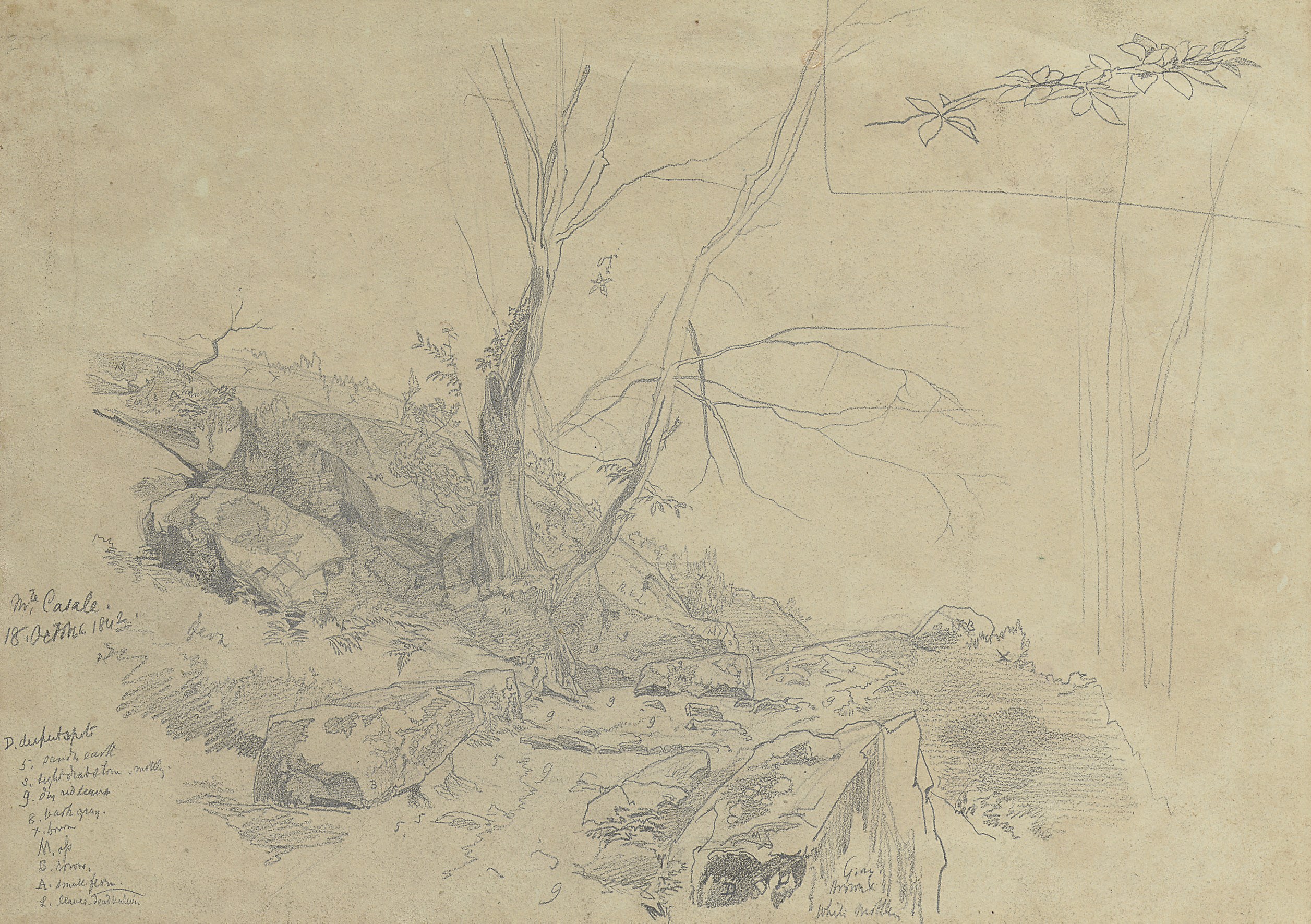 Edward Lear (London 1812-1888 San Remo)