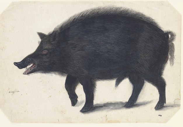German School, 16th Century