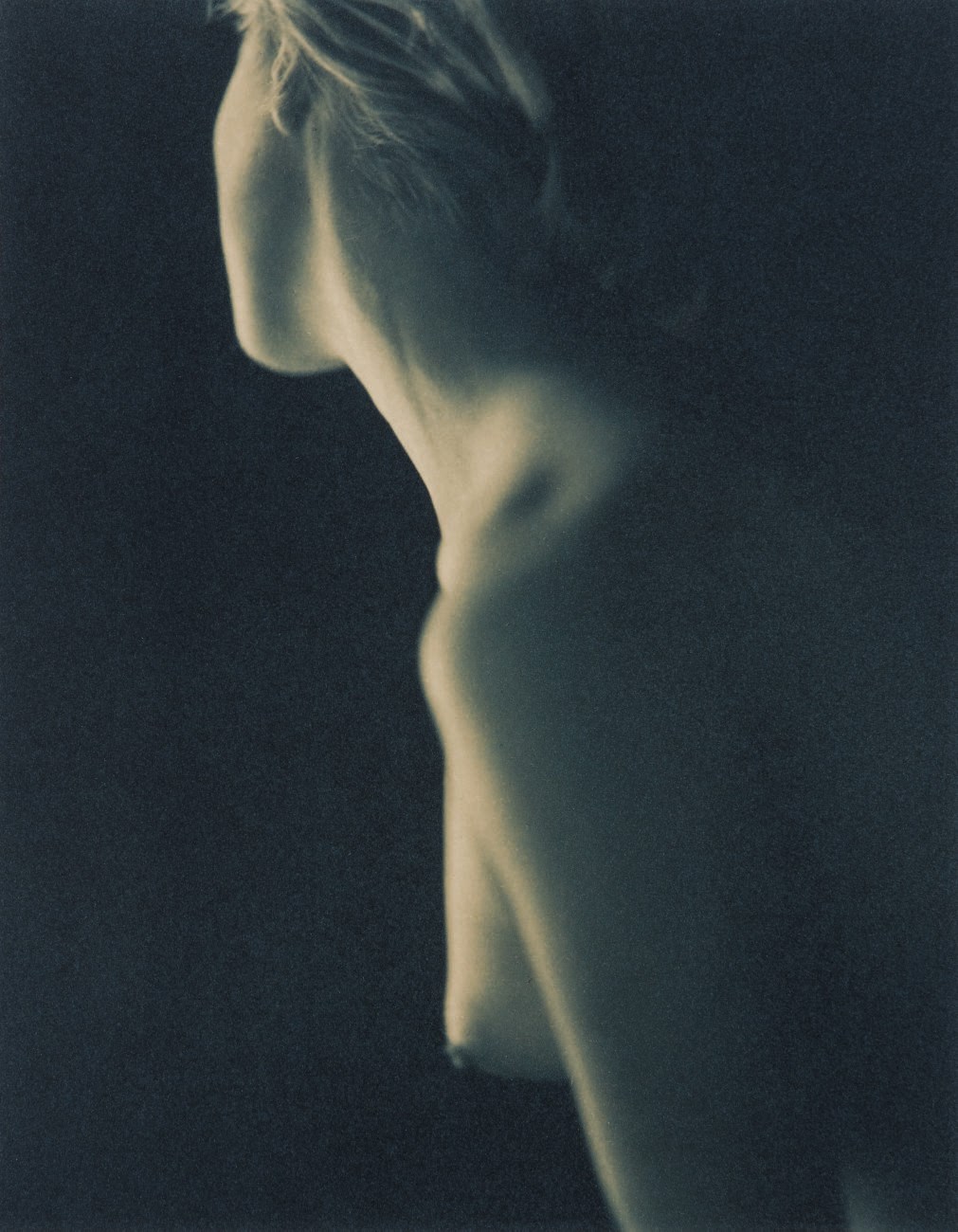 ALLAN JENKINS (B. 1969)