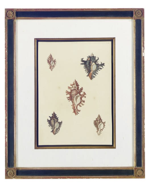 John Clarke (ACTIVE LATE 18TH/EARLY 19TH CENTURIES) after George Perry (fl. 1810)