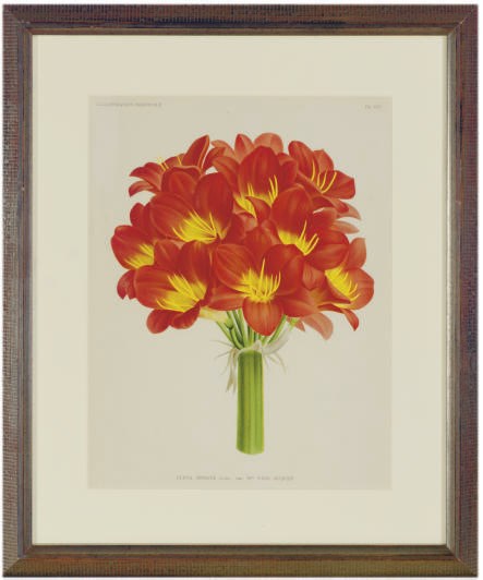After P. de Pannemaeker (ACTIVE 19TH CENTURY)