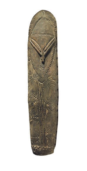 A SEPIK SHIELD,
