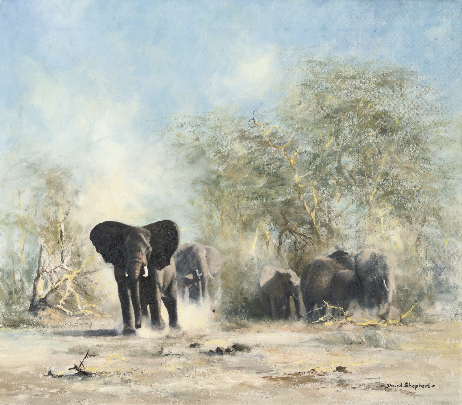 David Shepherd (b. 1930)