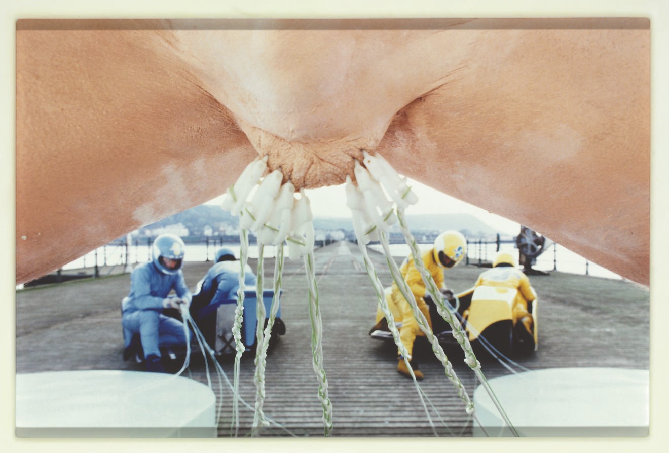 MATTHEW BARNEY (B. 1967)