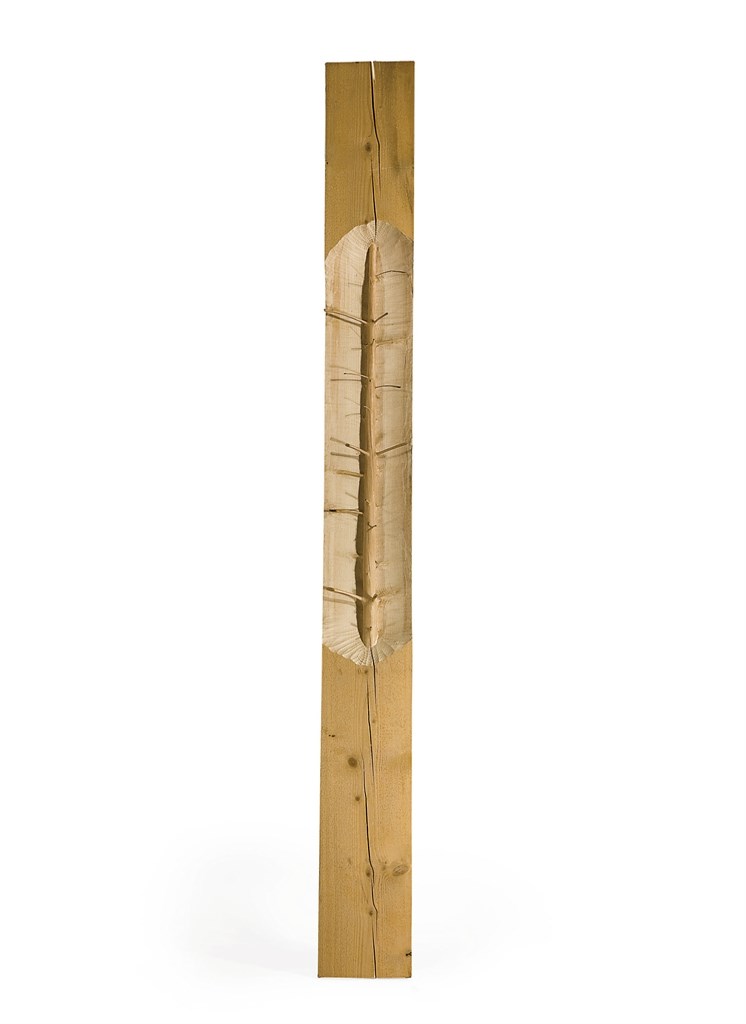GIUSEPPE PENONE (NE EN 1947)