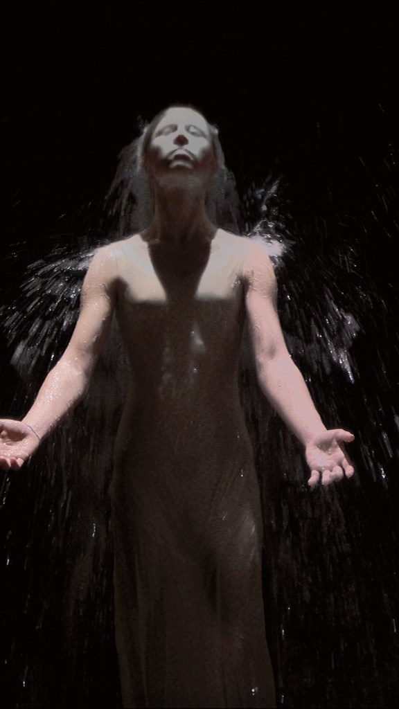 BILL VIOLA (NE EN 1951)