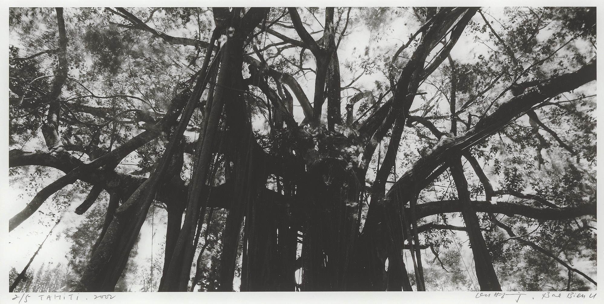 Bien-U Bae (B. 1950)