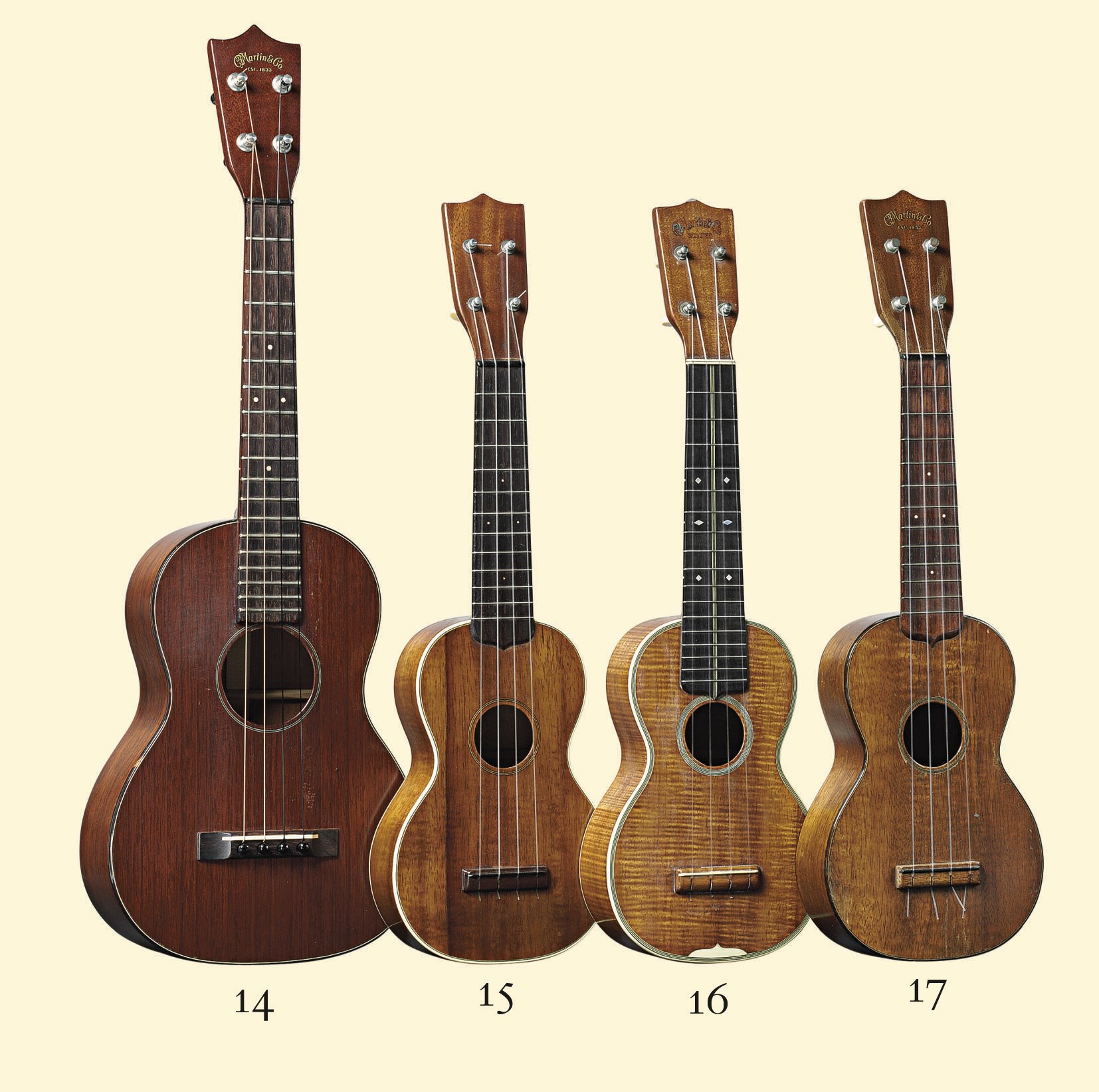 C.F. MARTIN AND COMPANY