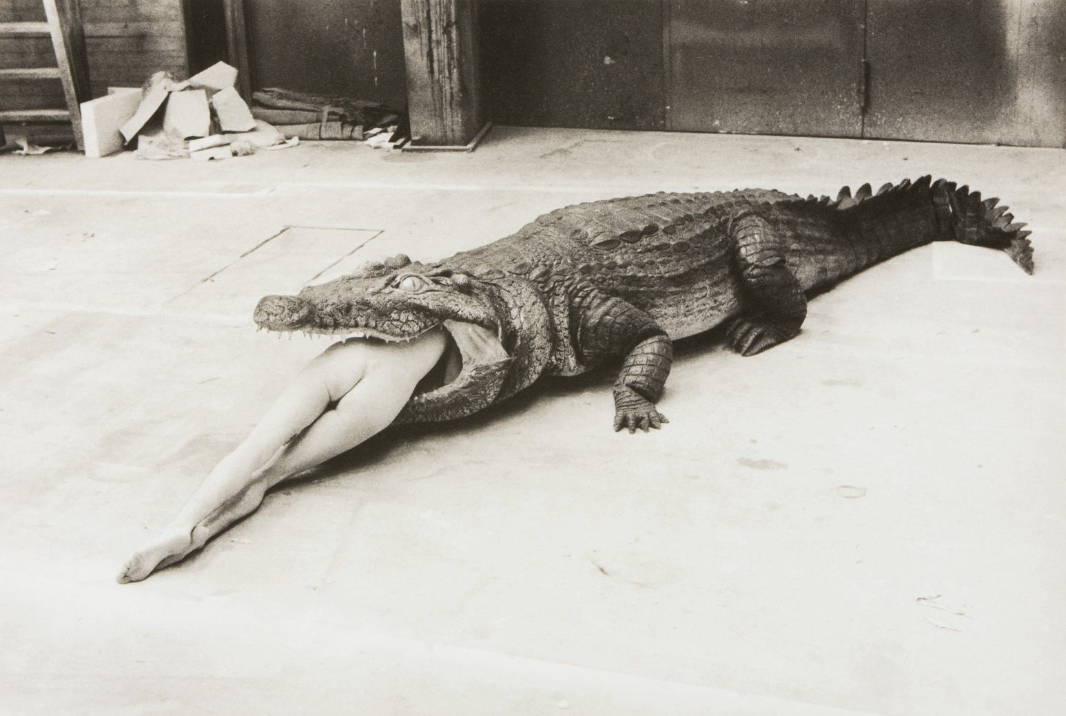 HELMUT NEWTON (1920-2004)