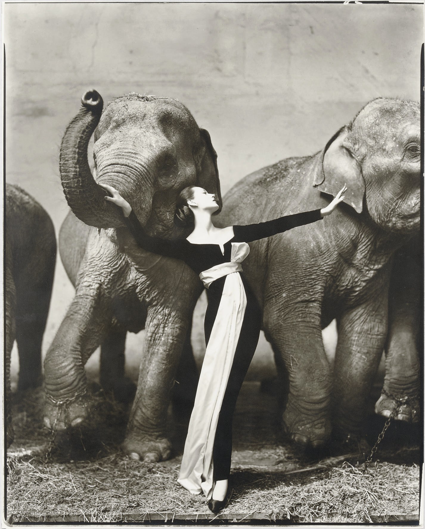 RICHARD AVEDON (1923-2004)