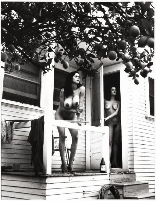HELMUT NEWTON (1920-2004)