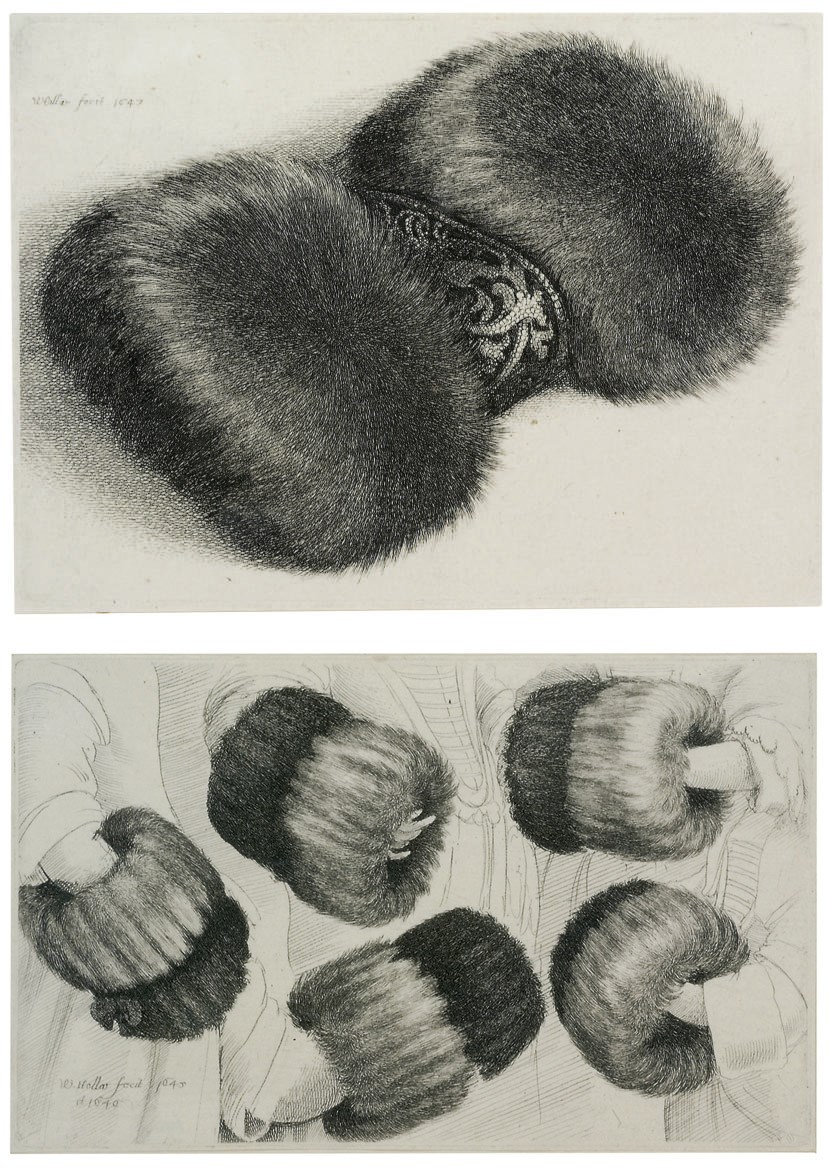 Wenceslaus Hollar (1607-1677)