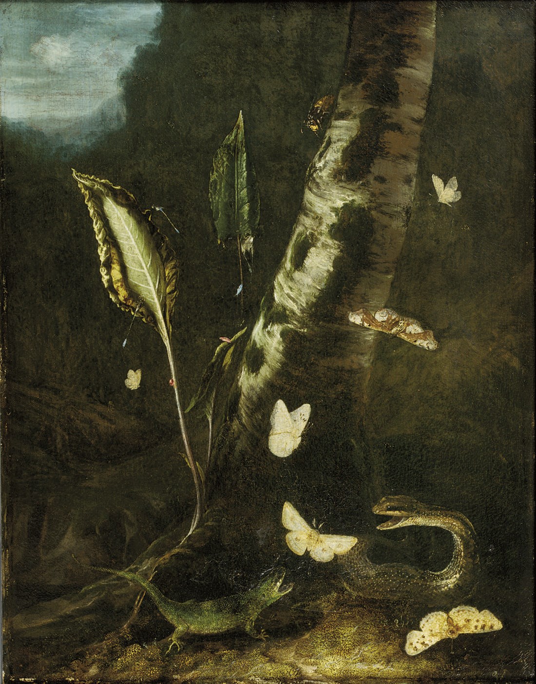 Otto Marseus van Schrieck (Nijmegen 1619-1678 Amsterdam)