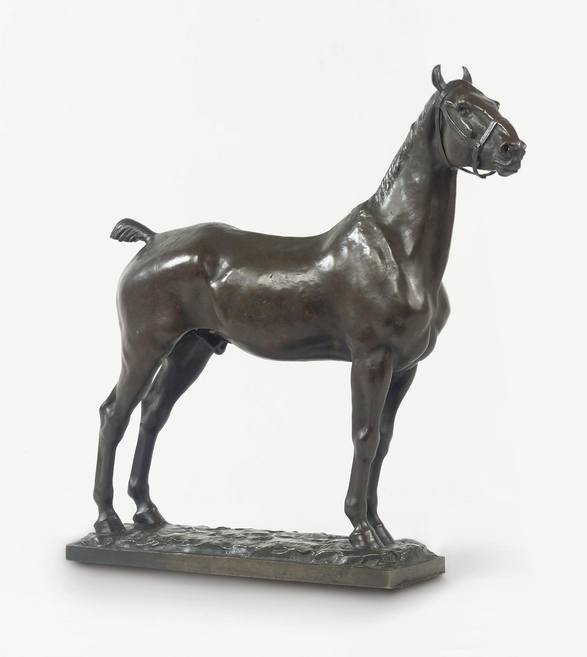 A FRENCH BRONZE FIGURE OF A HORSE ENTITLED 'CHEVAL ANGLAIS'