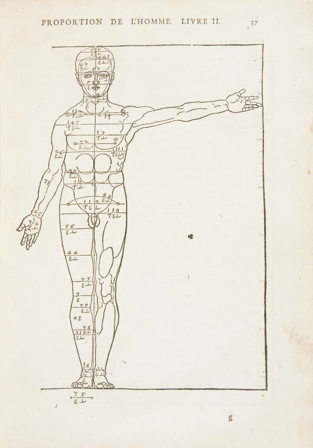 DÜRER, Albert (1471-1528). Les Quatre livres d'Albert Durer, peinctre & geometrien très excellent, de la proportion des parties & pourtraicts des corps humains. Traduicts par Loys Meigret. Paris: Charles Perier, 1557.