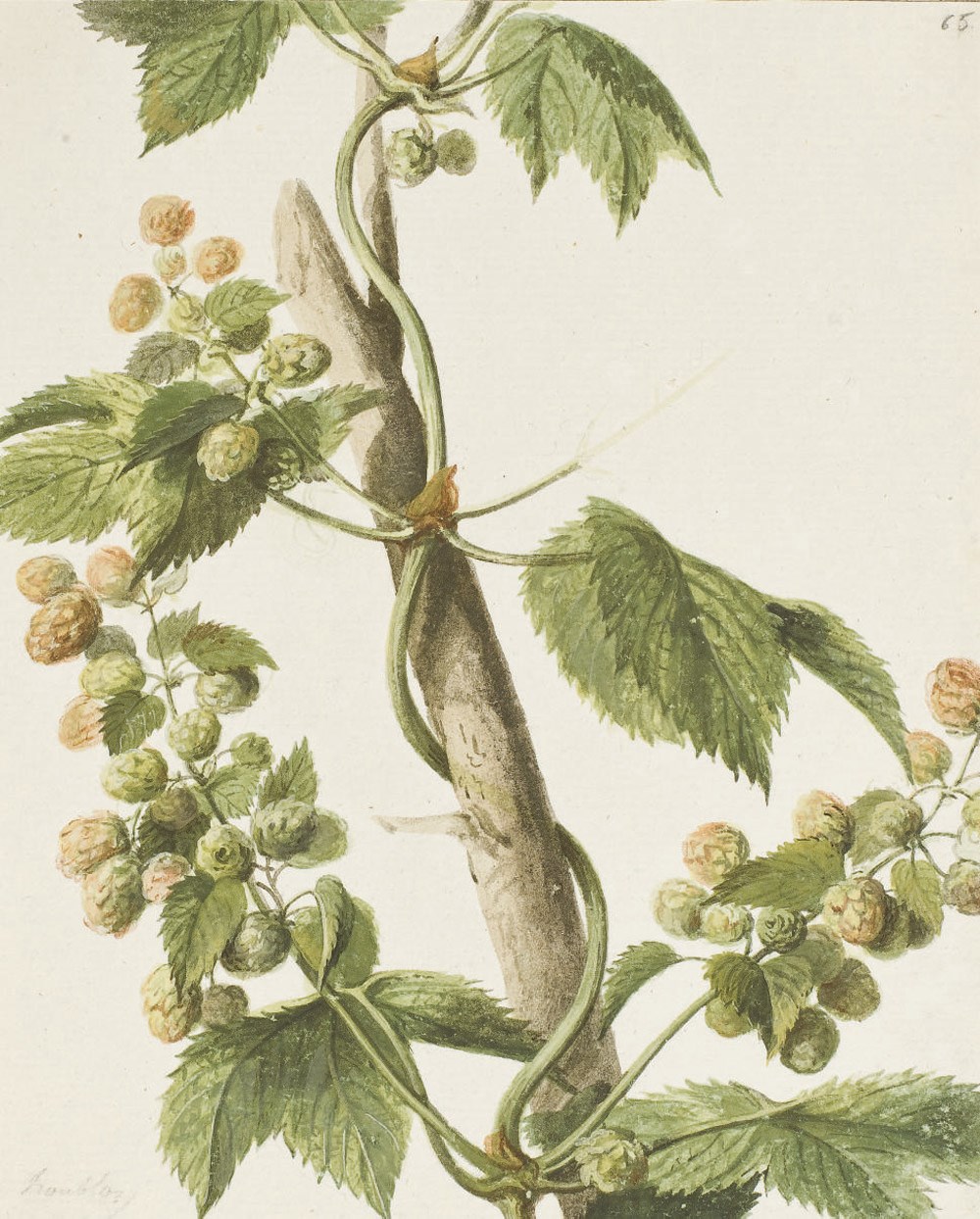 [HUET, Jean-Bapiste ?]. Recueil d'aquarelles originales. [France ou Pays-Bas?] vers 1787.
