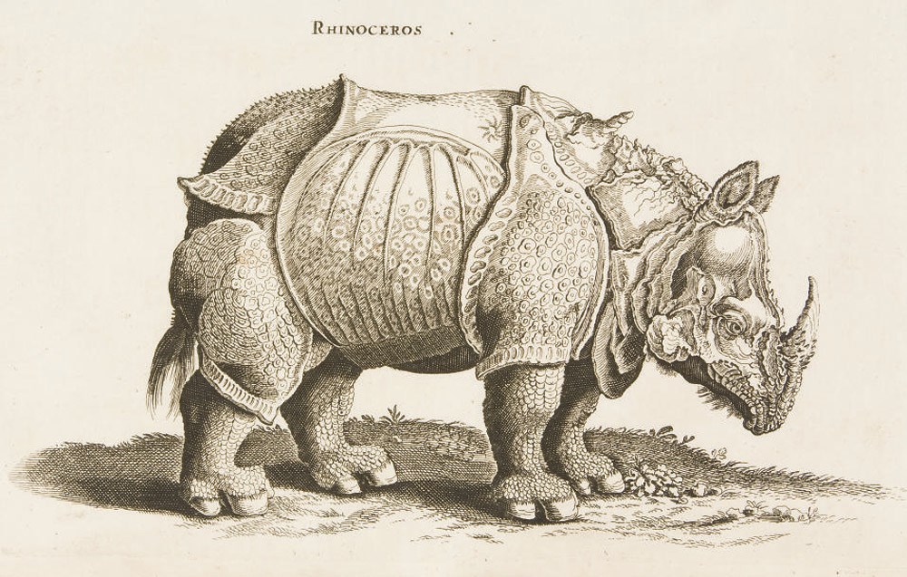 JONSTON, John (1603-1675). Theatrum Universale omnium Animalium Piscium, Avium, Quadrupedum, Exanguium, Aquaticorum, Insectorum, et Angium... à J. Jonstonio collectum... Cura Henrici Ruysch... comprehensum. Amsterdam: R. & G. Wetstenius, 1718.