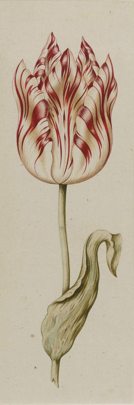 Dutch School, 17th Century