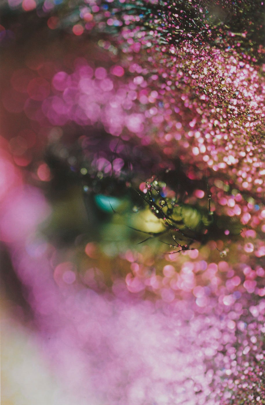 Marilyn Minter (b. 1948)