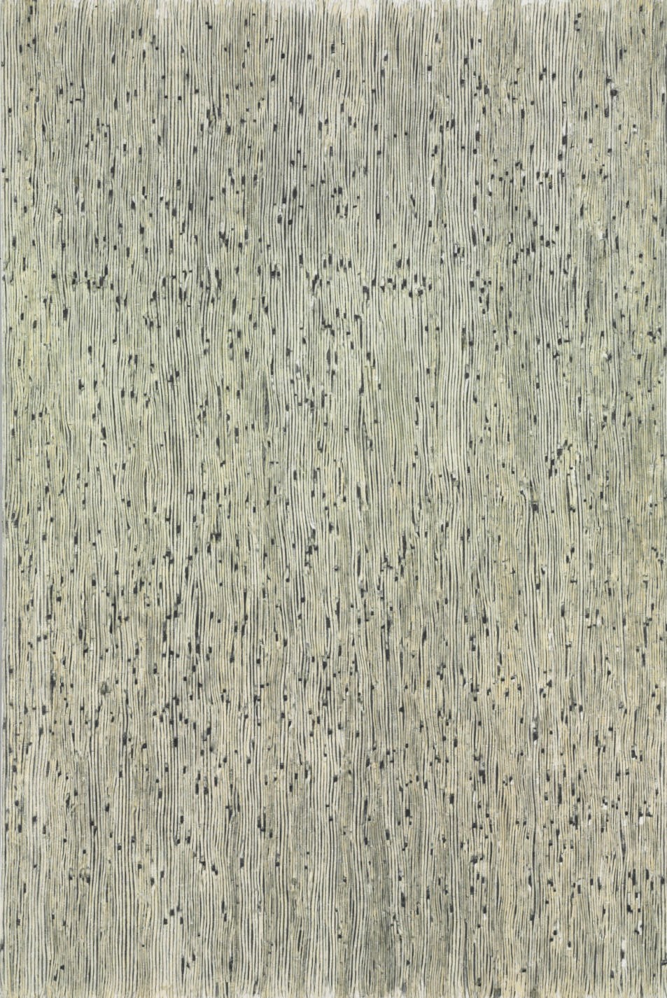 Udomsak Krisanamis (b. 1966)