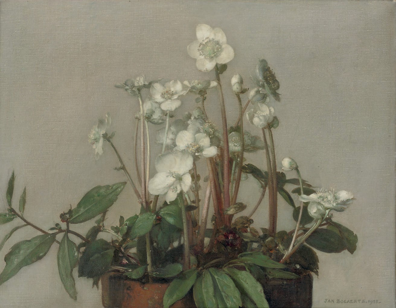 Jan Bogaerts (1878-1962)