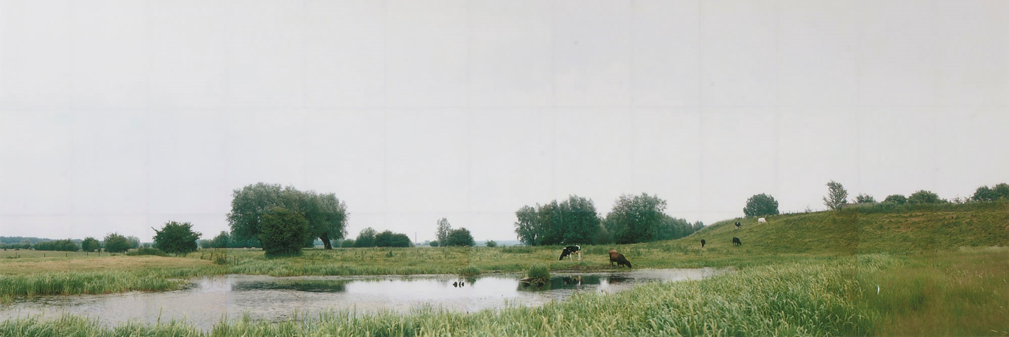 Jan Koster (b. 1959)