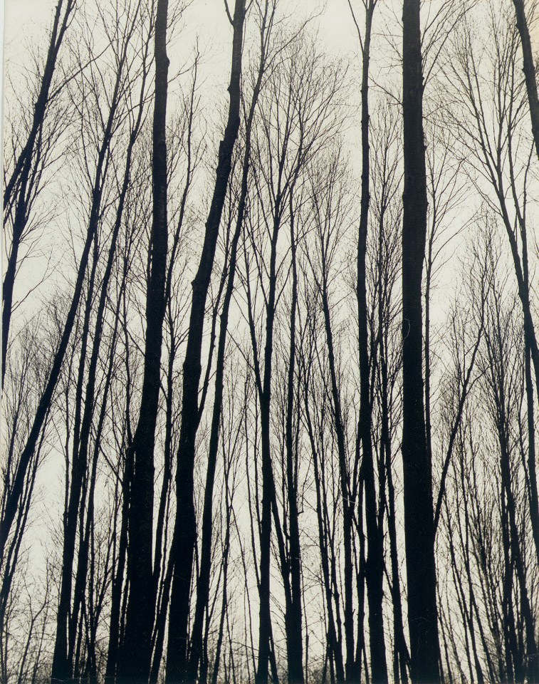 ANDREAS FEININGER (1906-1999)