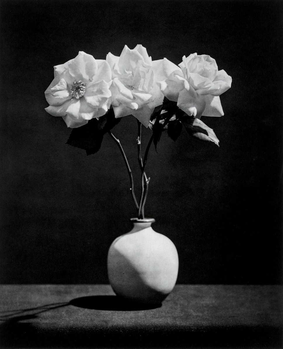 ROBERT MAPPLETHORPE (1946-1989)
