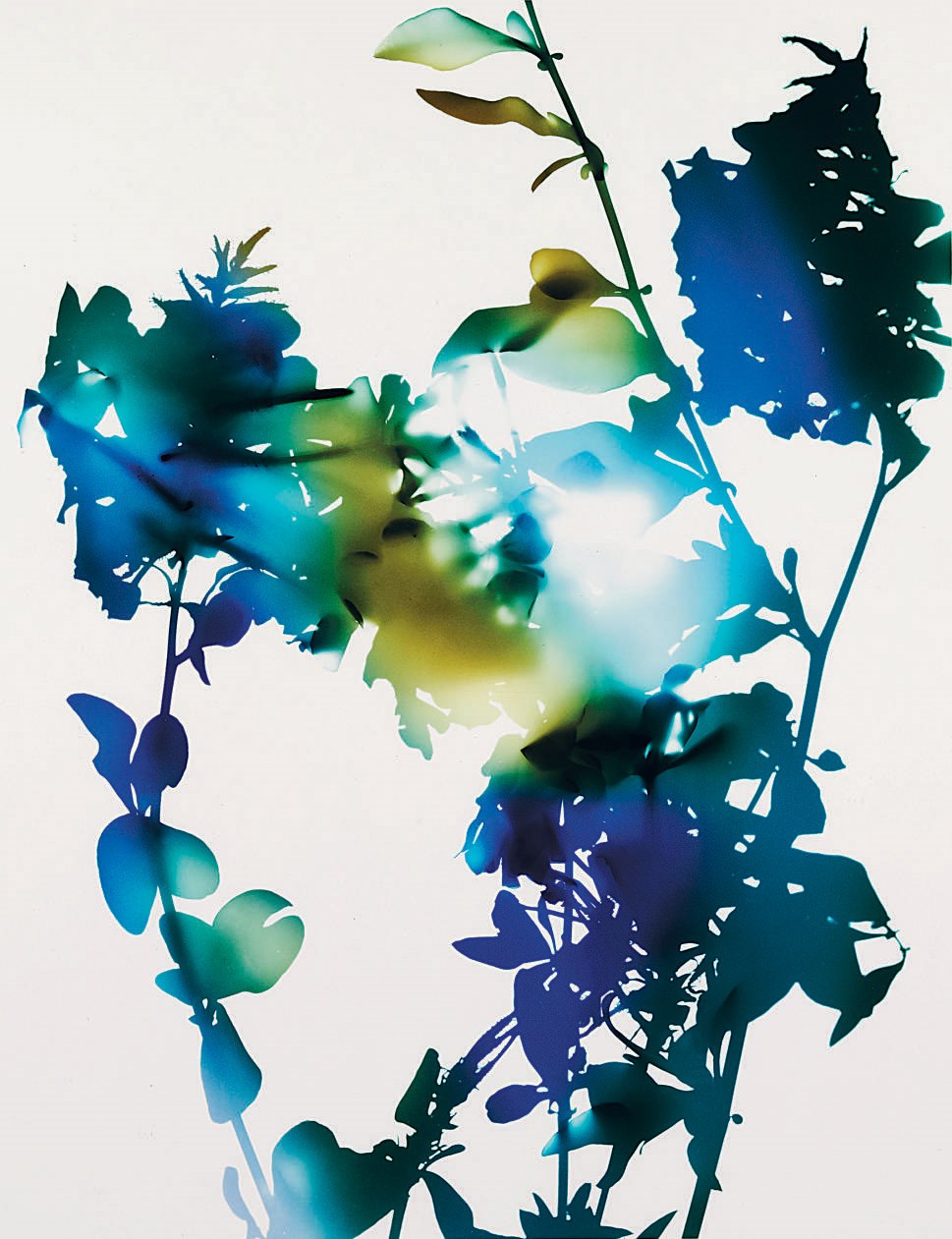 JAMES WELLING (B. 1951)