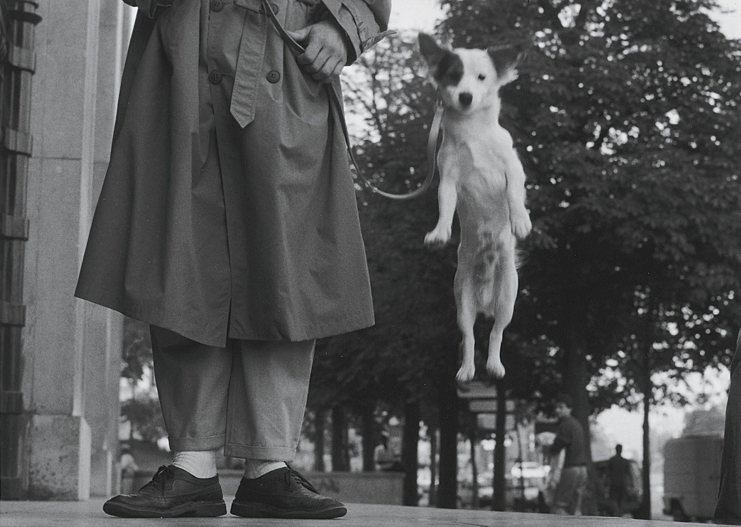 ELLIOTT ERWITT (B. 1928)