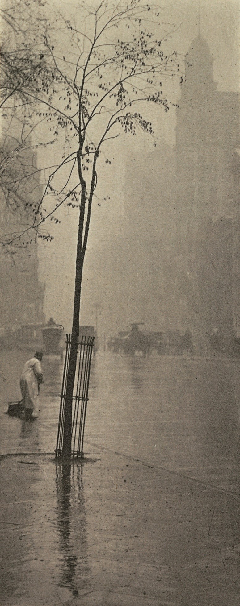 ALFRED STIEGLITZ (1864-1946)