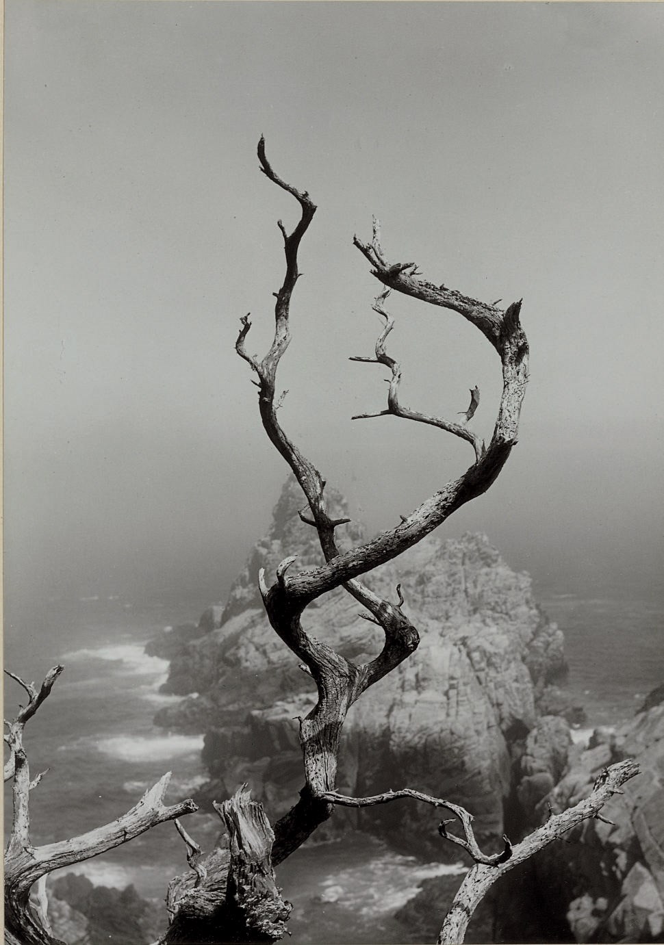 MINOR WHITE (1908-1976)