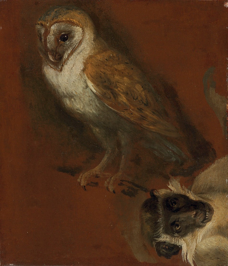 Attributed to Alexandre-François Desportes (Champigneulles 1661-1743 Paris)