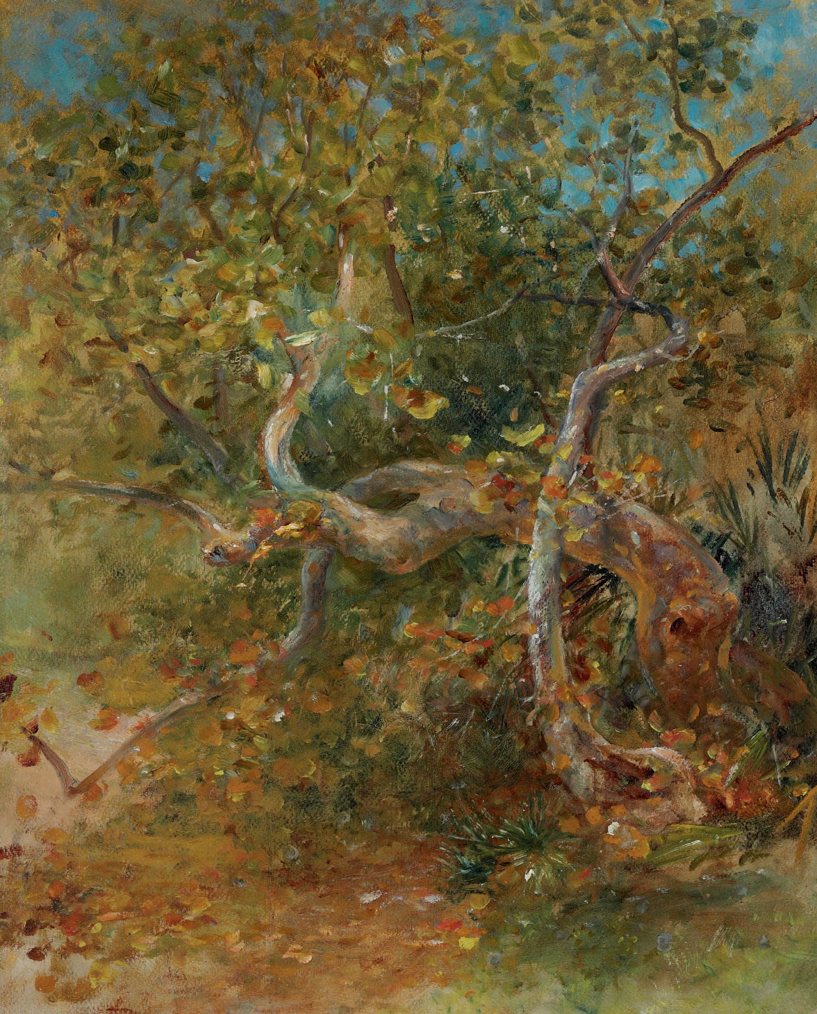 Louis Comfort Tiffany (1848-1933)