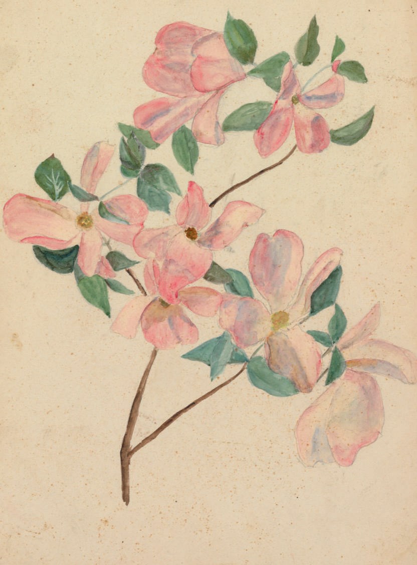 Louis Comfort Tiffany (1848-1933)